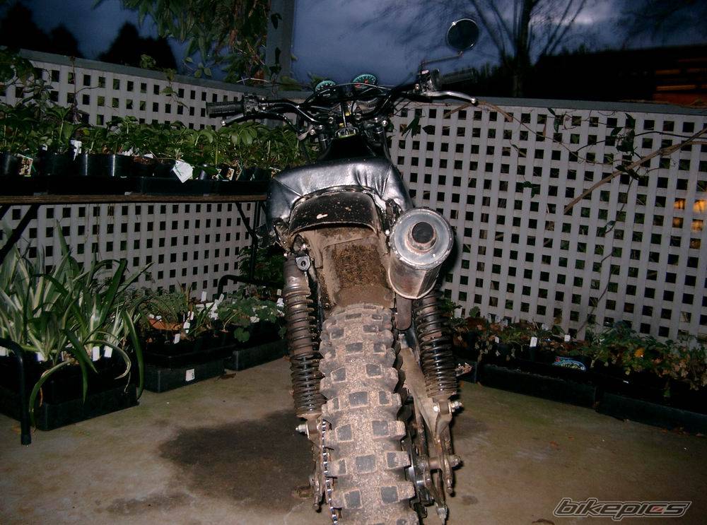 Photo 154988