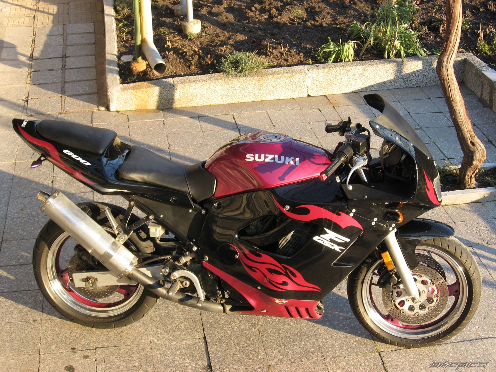 Photo 1549989