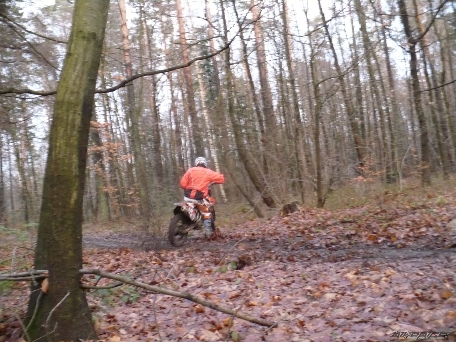 Bike Photo 1550069