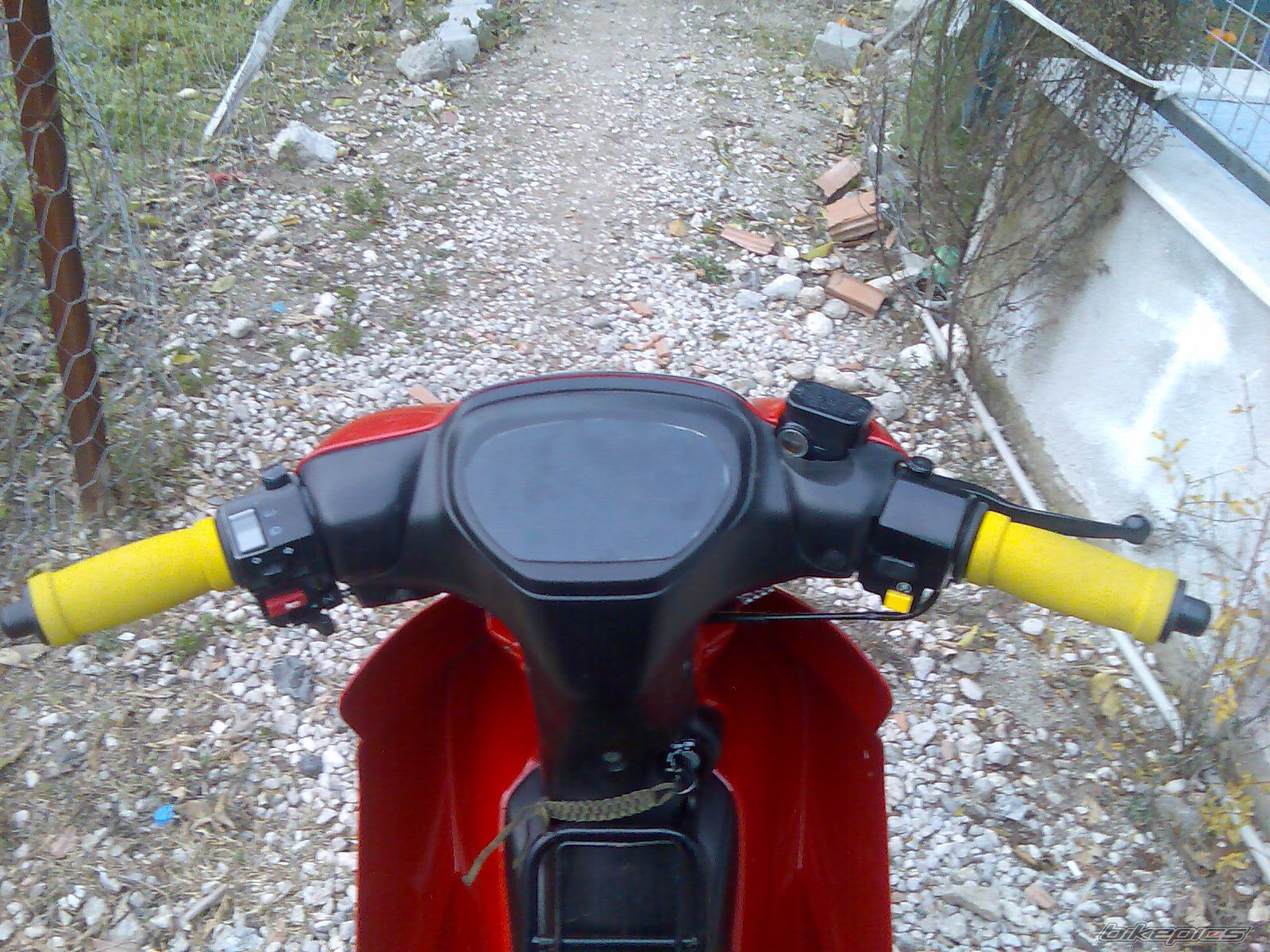 Photo 1550186