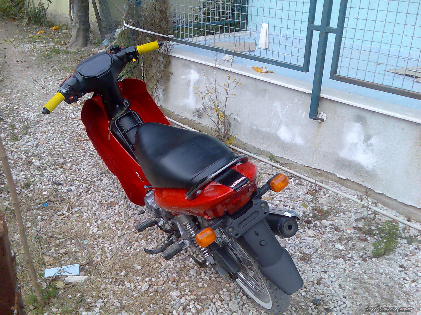 Photo 1550189
