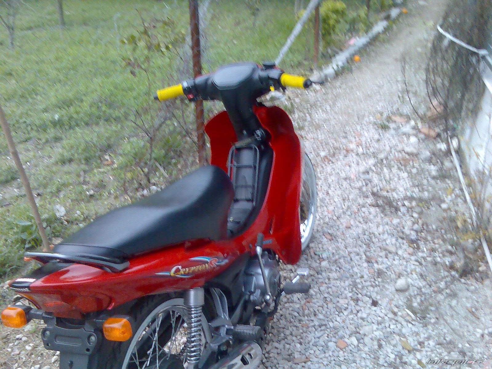 Photo 1550194
