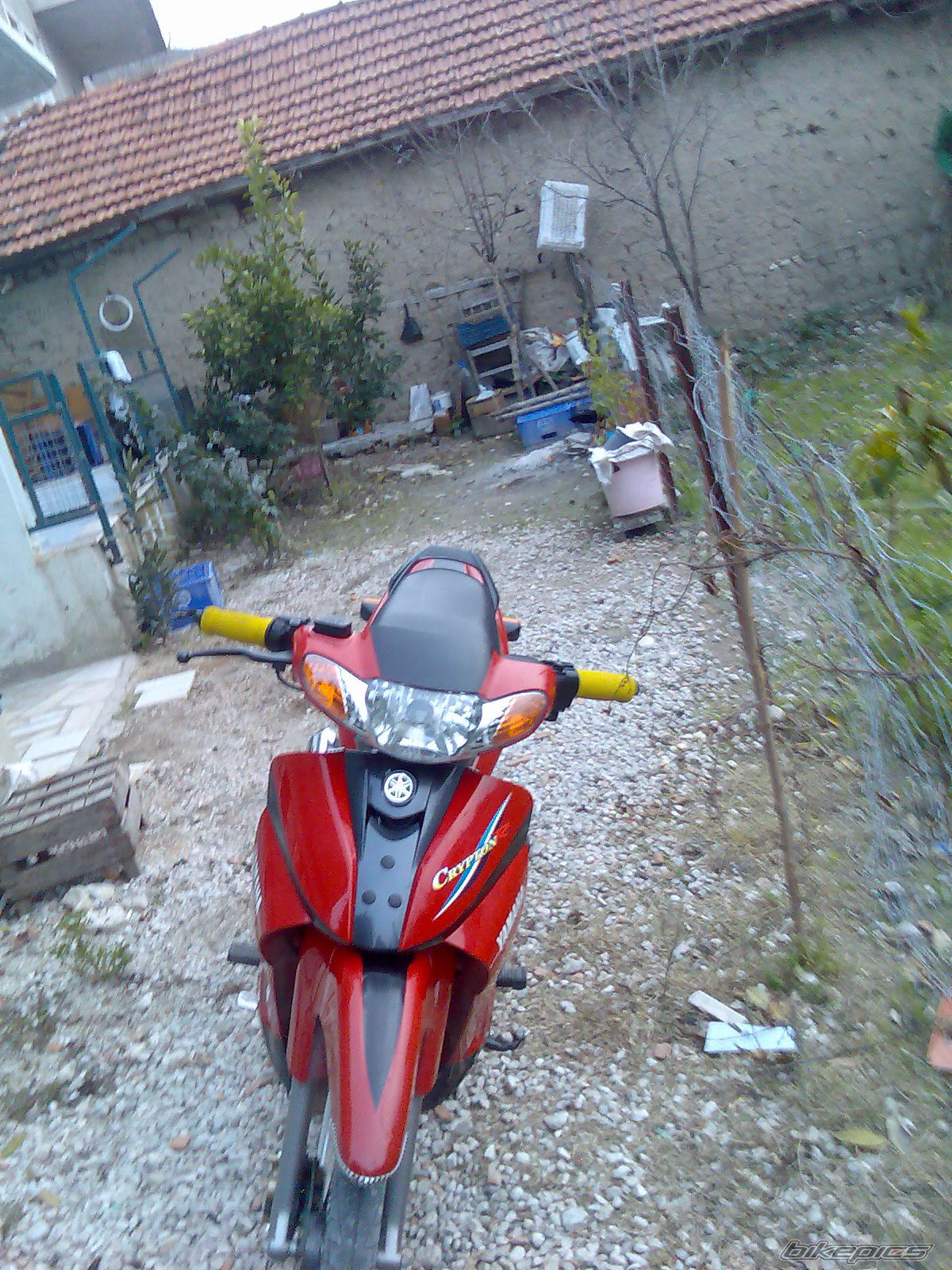 Photo 1550198