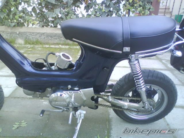Photo 1550211