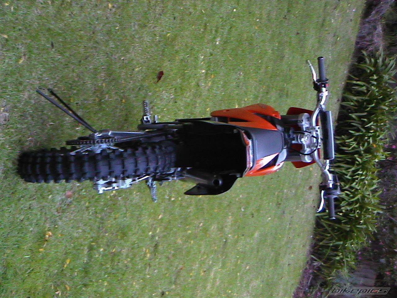 Photo 155024