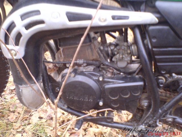 Photo 1550369