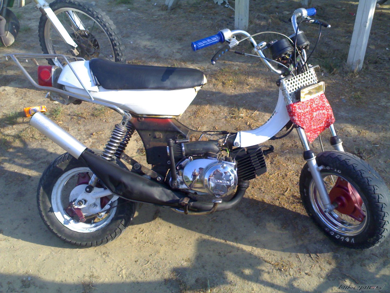 Photo 1550467