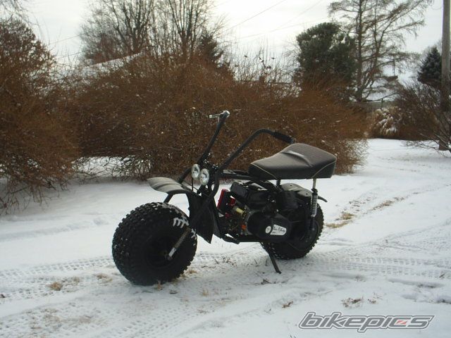 Photo 1550535