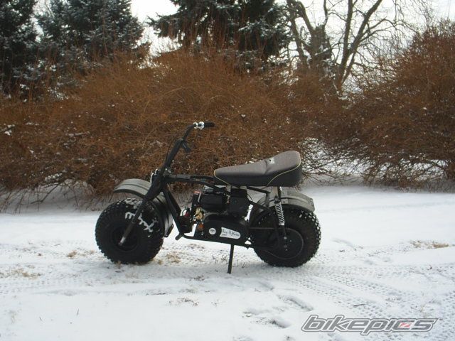 Photo 1550536