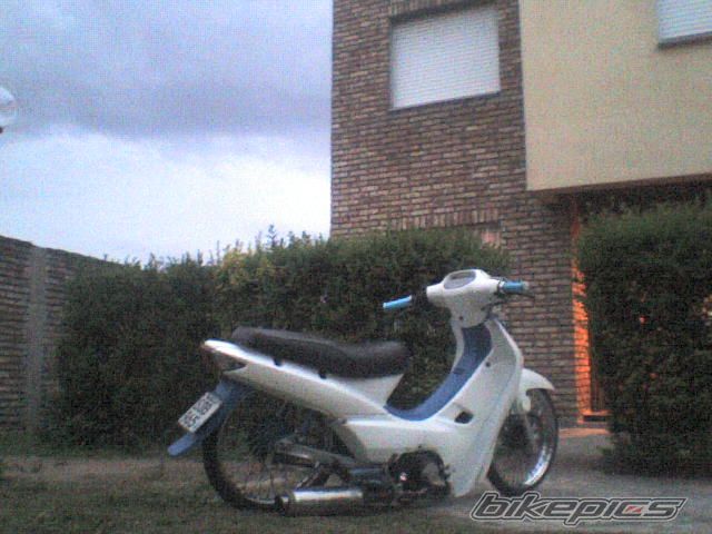 Photo 1550548
