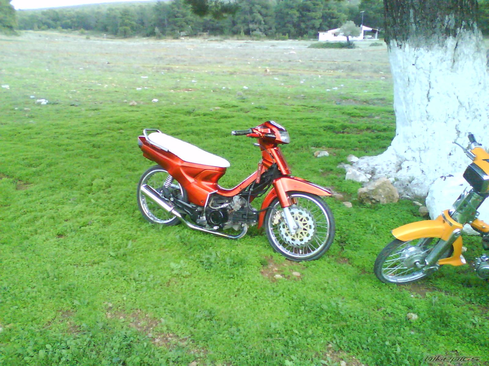 Photo 1550560