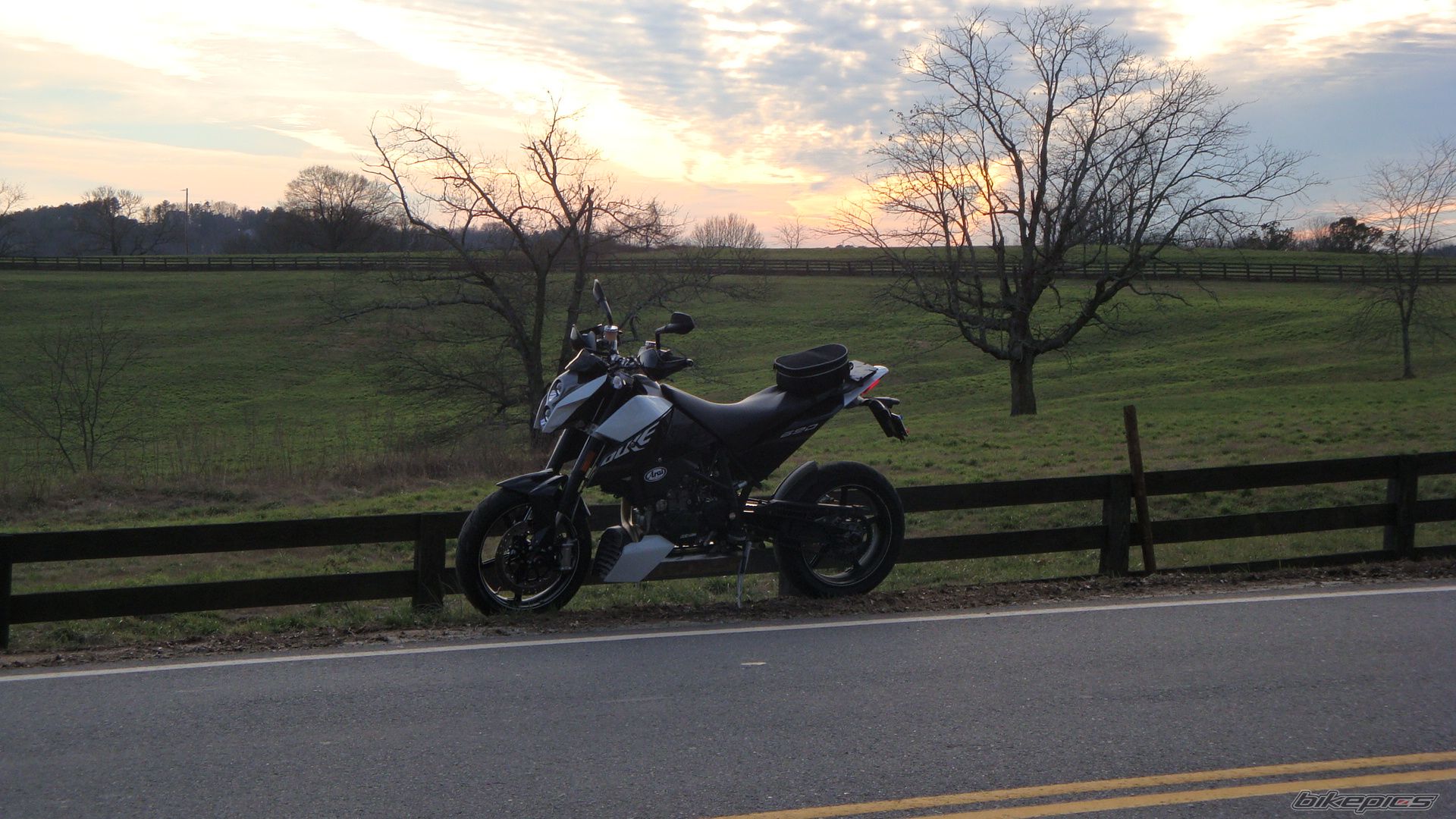 Photo 1550561