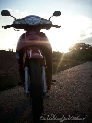 Photo 1550677