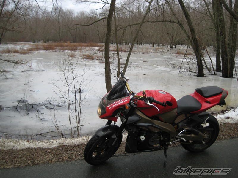 Photo 1550686