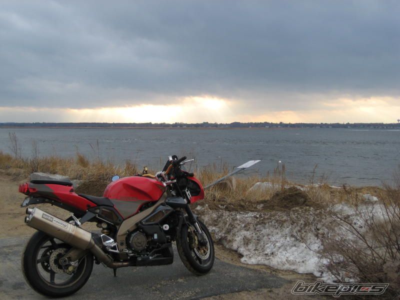 Photo 1550688