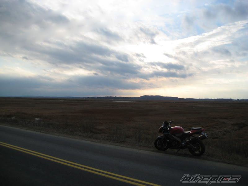 Photo 1550689