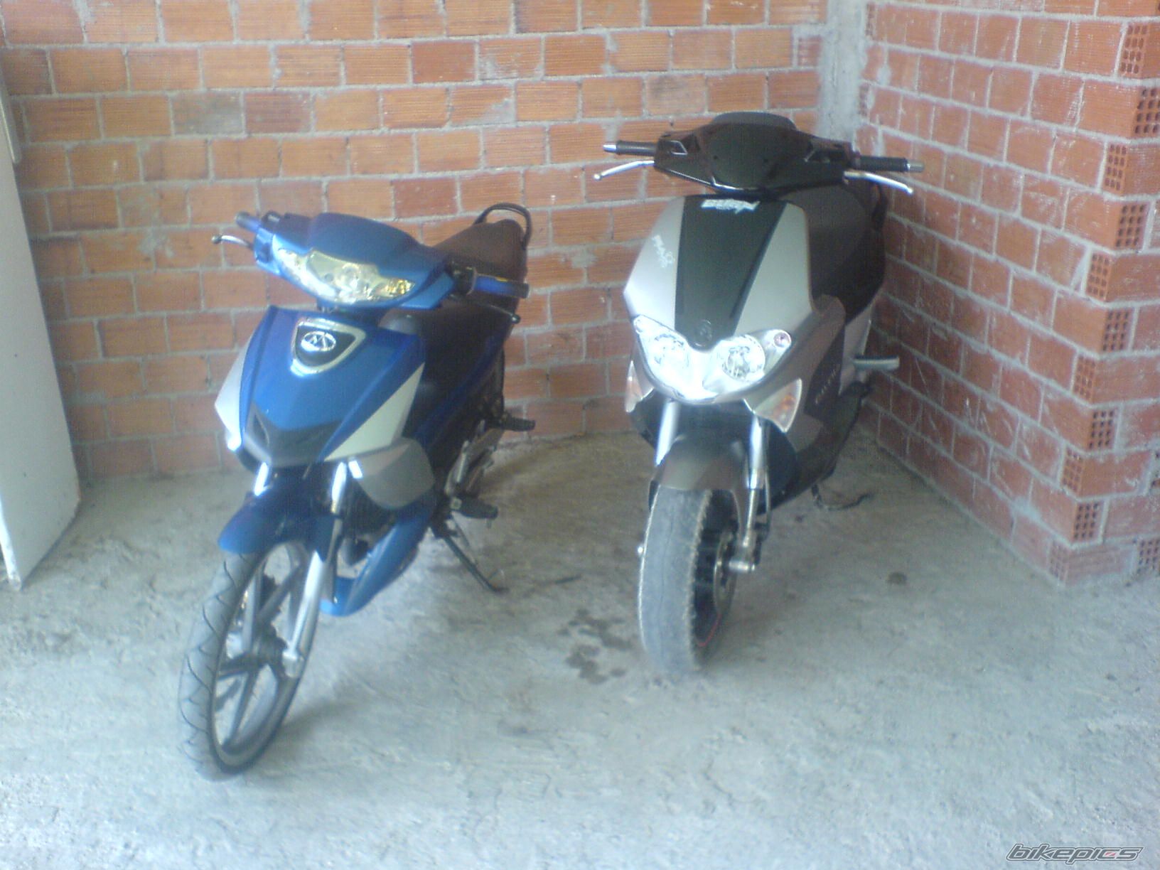 Photo 1550801