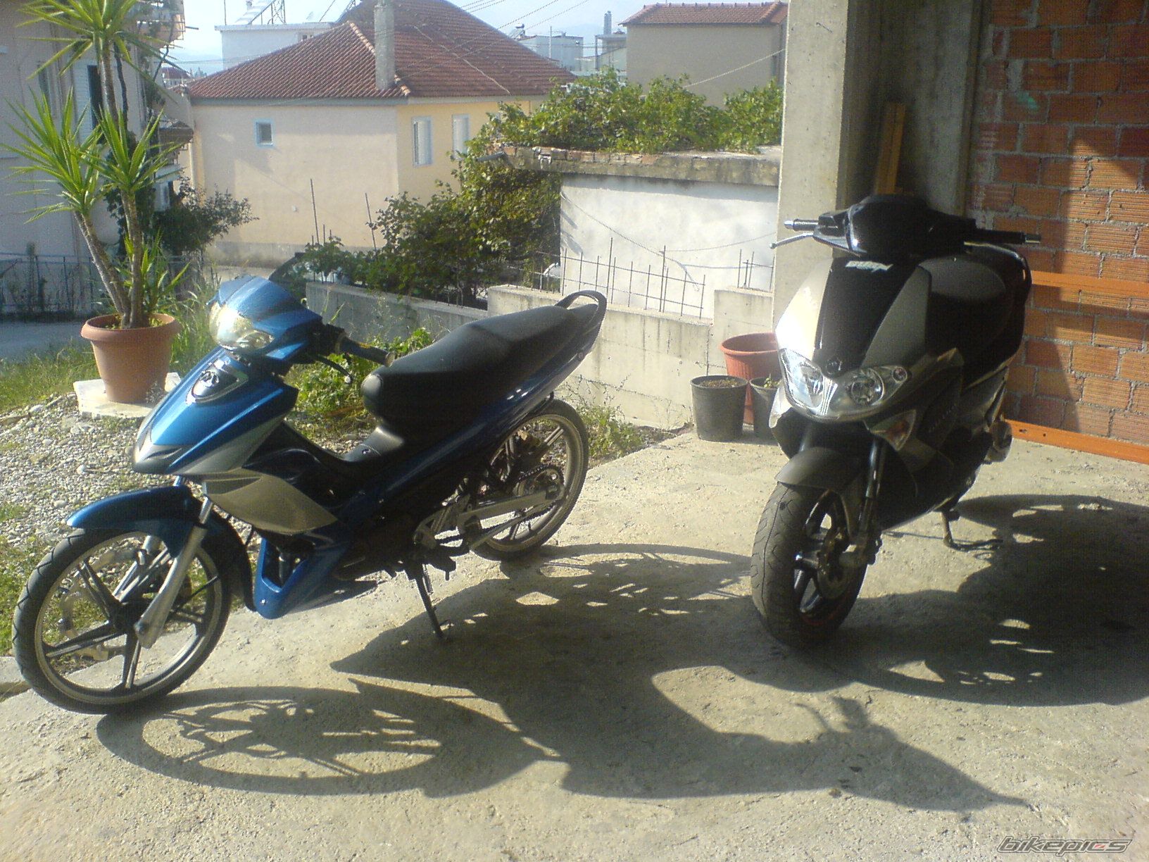 Photo 1550802