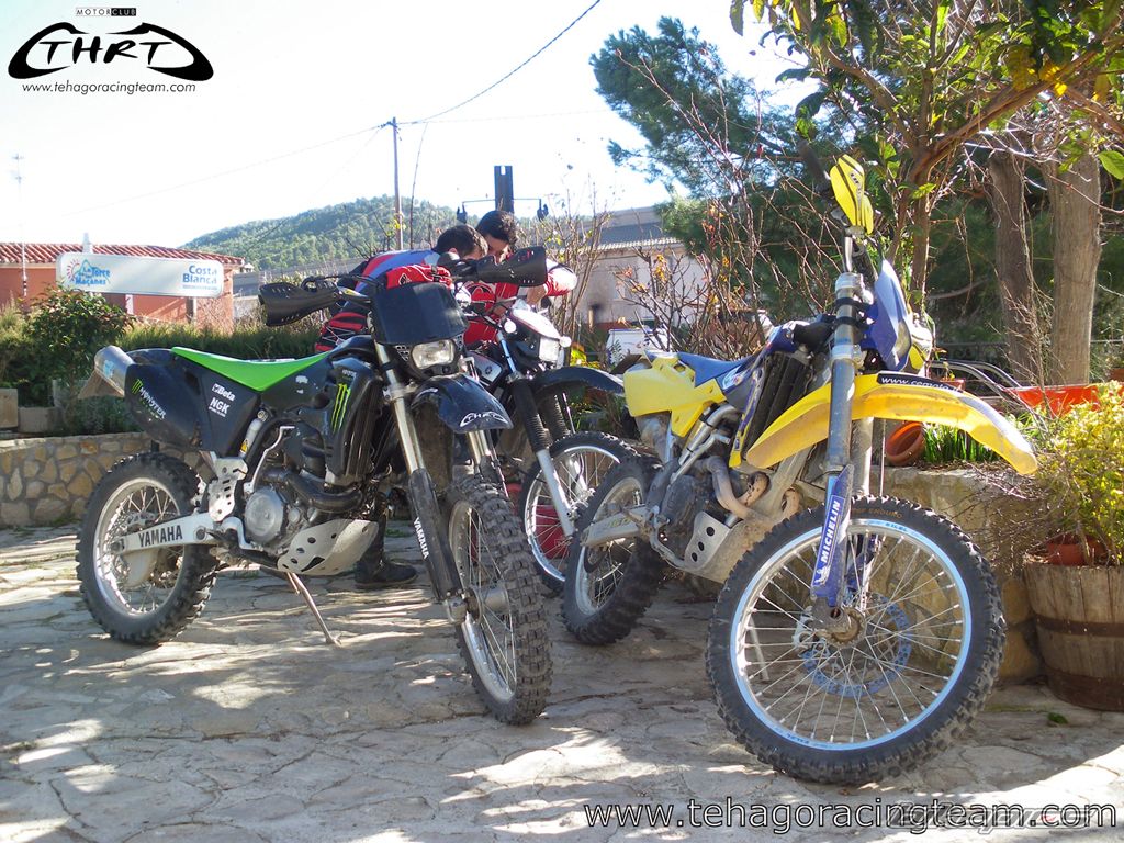 Photo 1551022