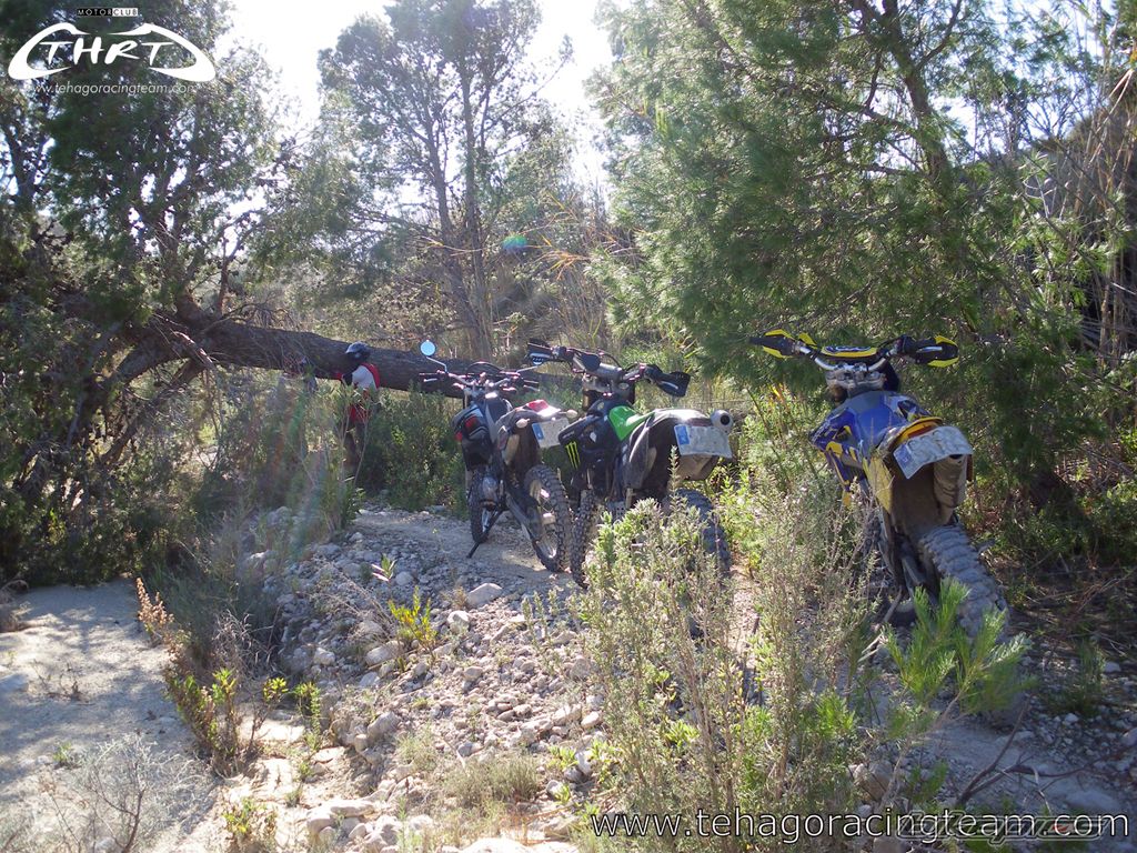 Photo 1551034