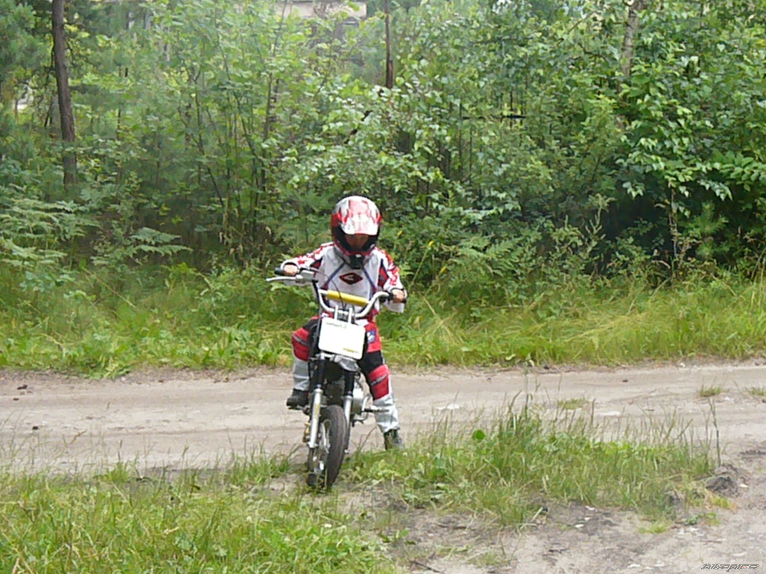 Photo 1551039