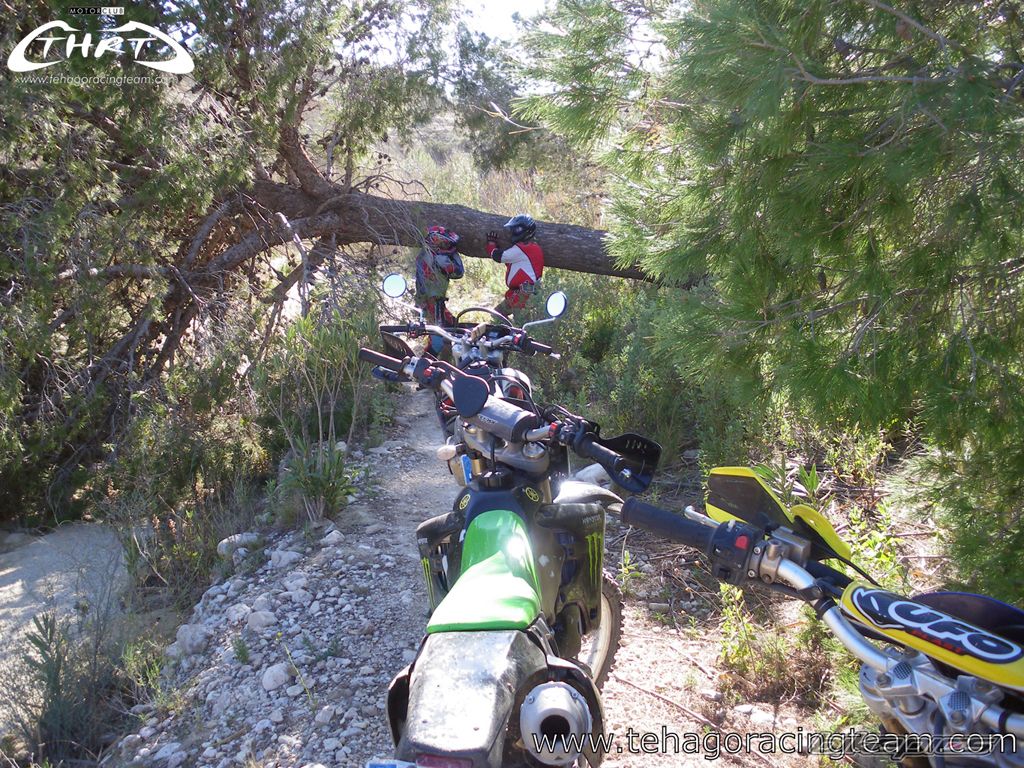 Photo 1551045