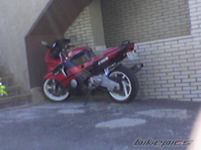 Photo 155106