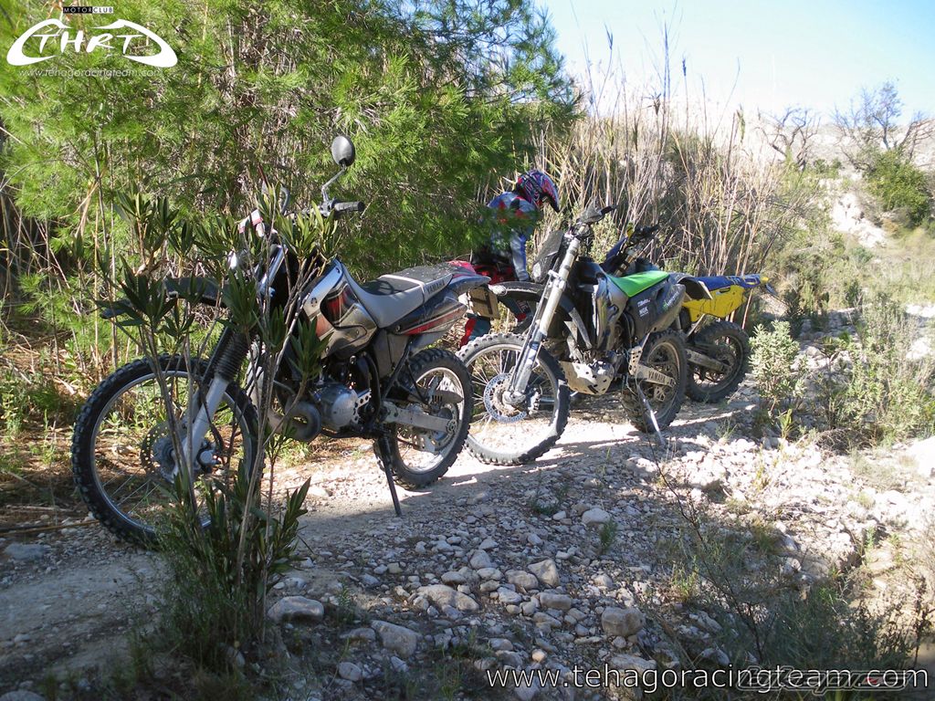 Photo 1551062