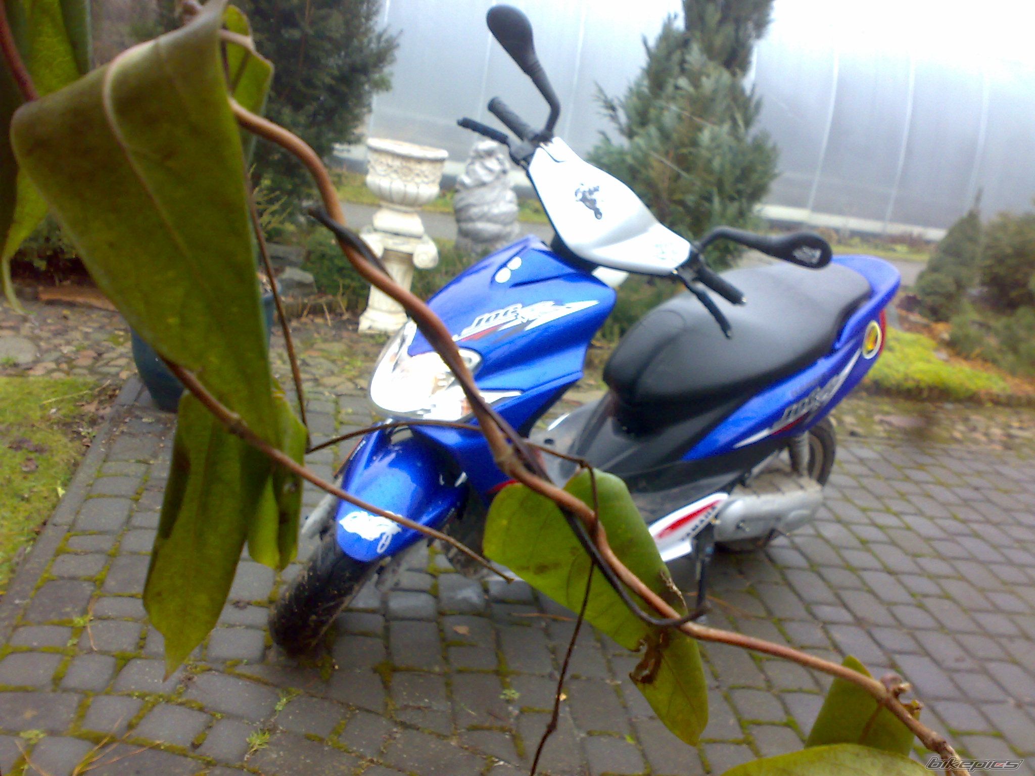 Photo 1551125