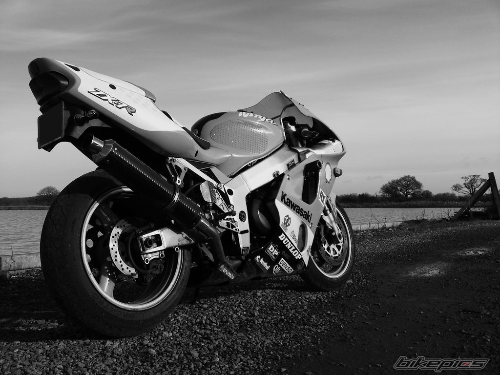 Photo 1551159
