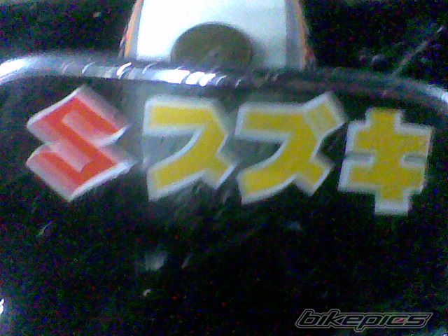 Photo 1551231