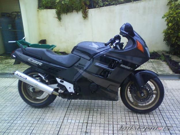 Photo 1551269