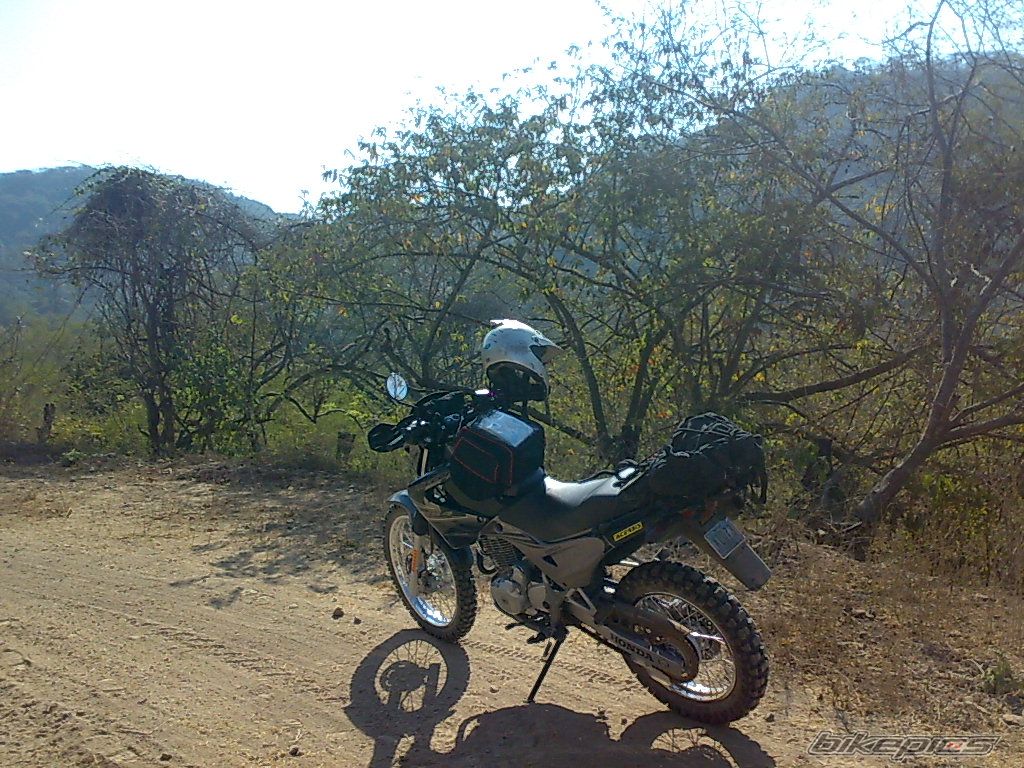 Photo 1551358