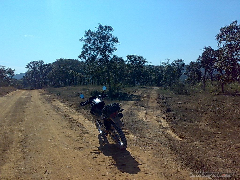 Photo 1551360
