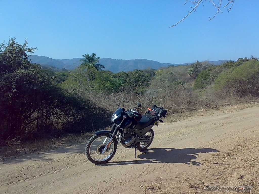 Photo 1551361