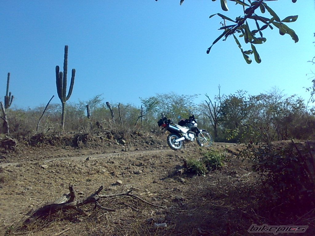 Photo 1551365