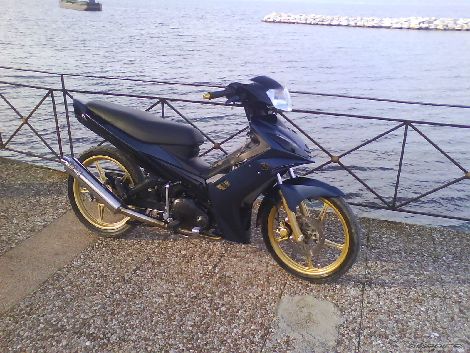 Photo 1551375