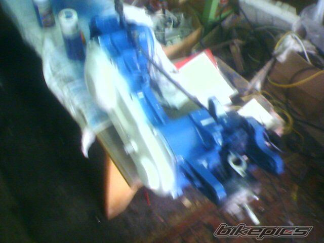 Photo 1551393