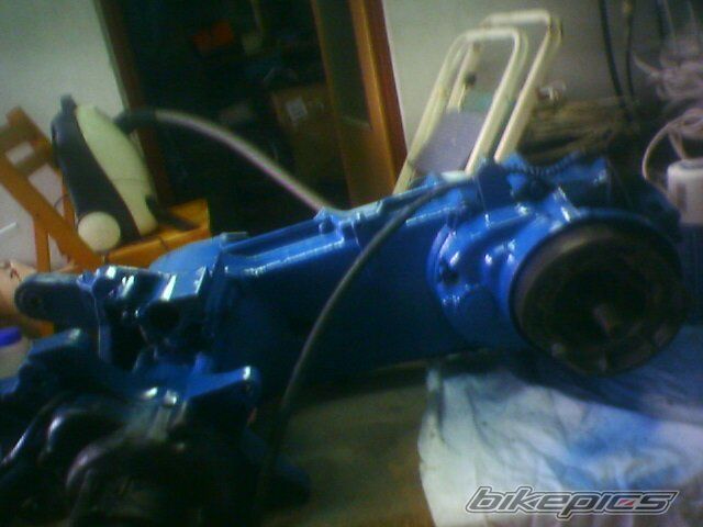 Photo 1551394