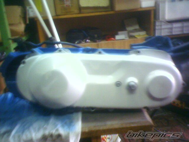 Photo 1551395