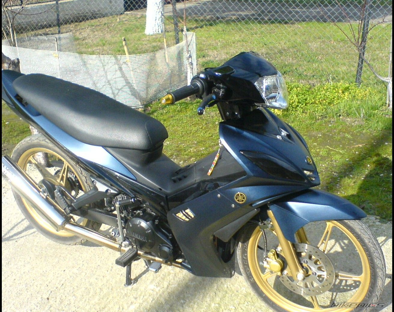 Photo 1551400
