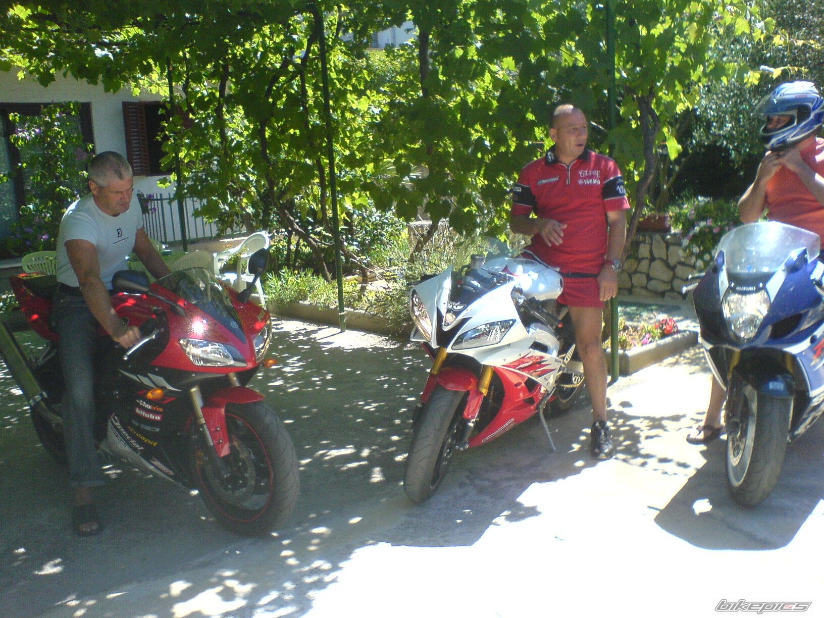 Photo 1551401