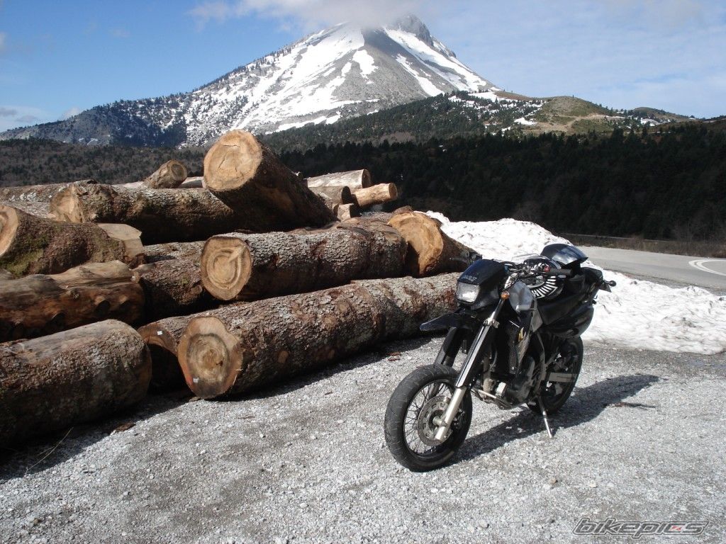 Photo 1551406