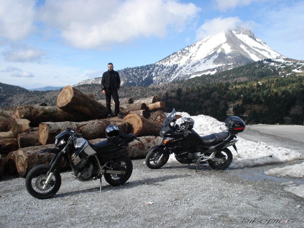 Photo 1551409