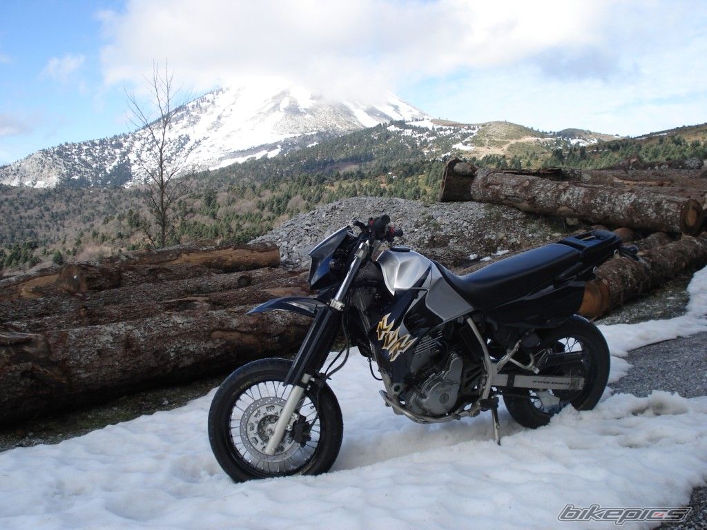 Photo 1551411
