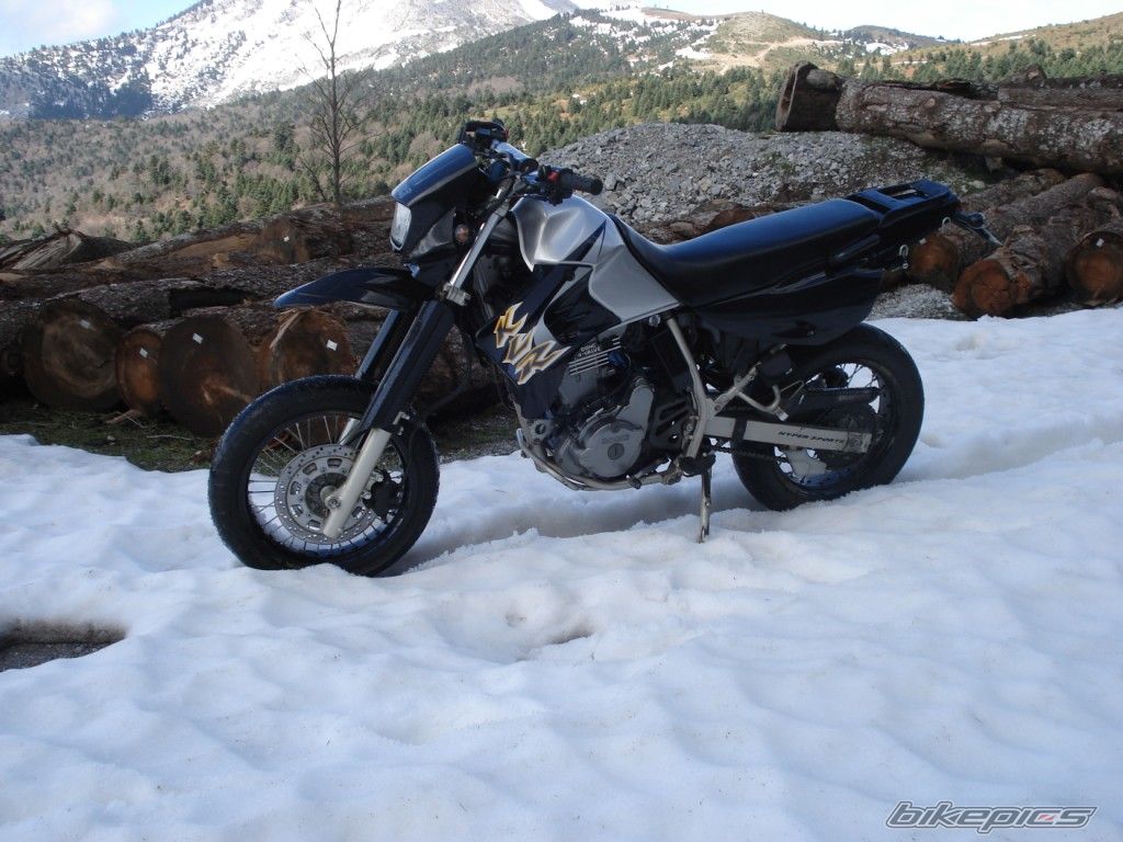 Photo 1551414