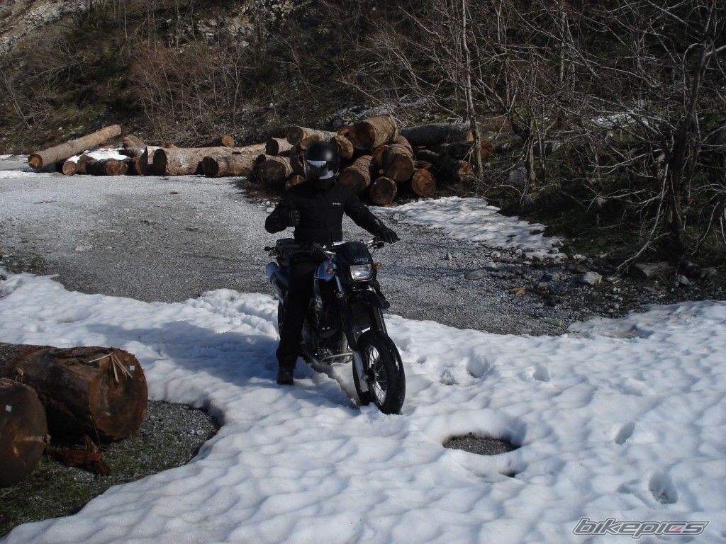 Photo 1551416