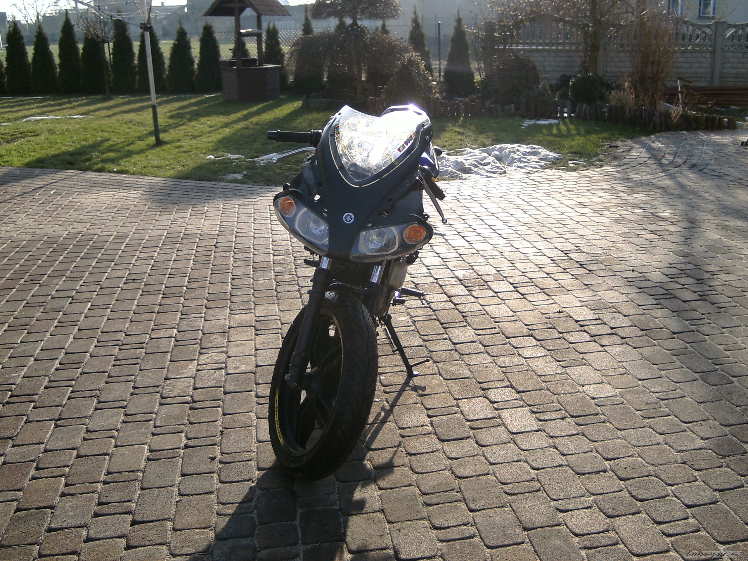 Photo 1551428