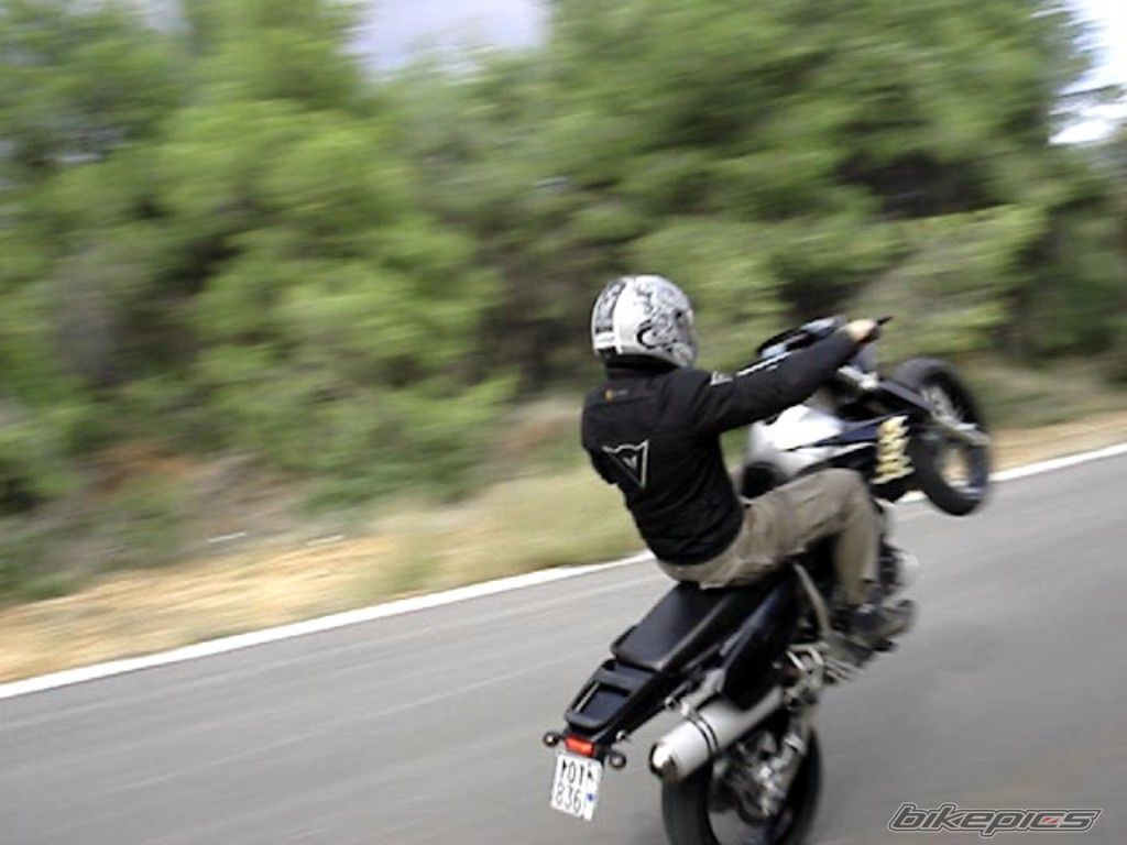 Photo 1551442