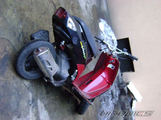 Photo 1551509